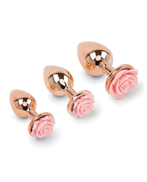 Gemsations Rose Metal Butt Plug Training Kit Rose Gold