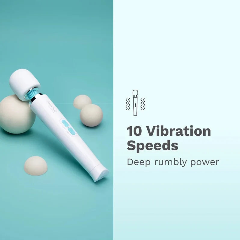 Le Wand Classique Petite Wand Vibrator