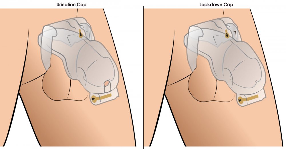 Master Series Lockdown Customizable Chastity Cage